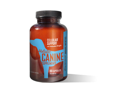 Canine:  Cellular Support